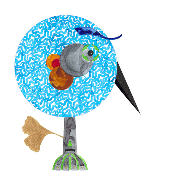 78 Bobble Headed Blue Boobie by Timothy Ray Horn
