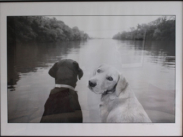 Look Back by Keith Auerbach