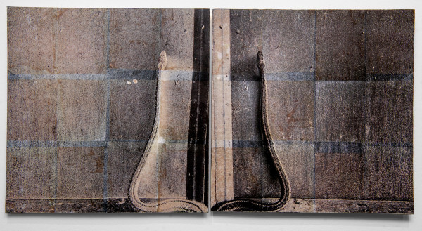 A Snake in the Pole Barn - Bolivar County, Mississippi 1/5