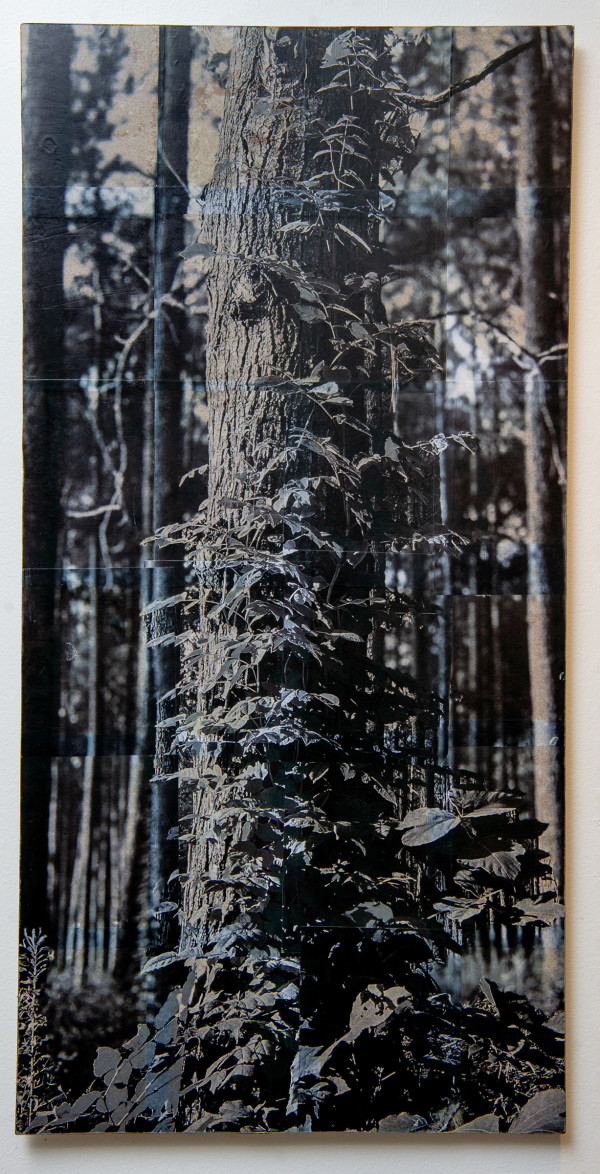 48x24 collage on wood panel 1/6