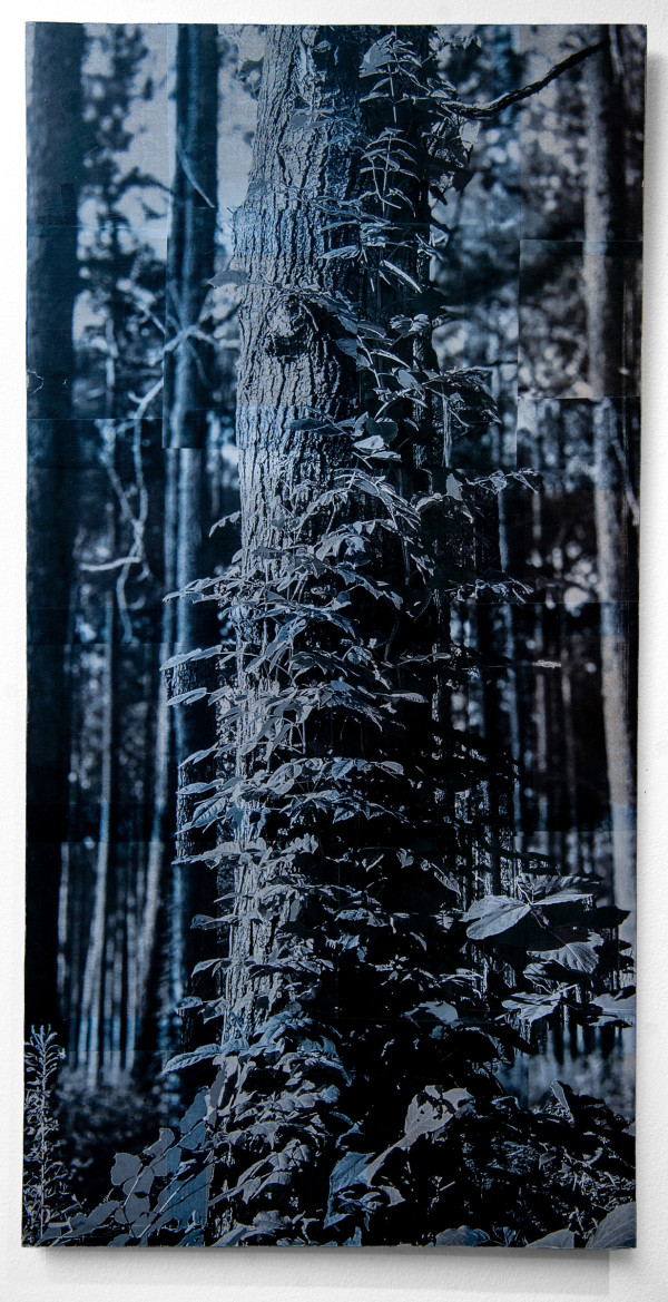 48x24 collage on wood panel 4/6