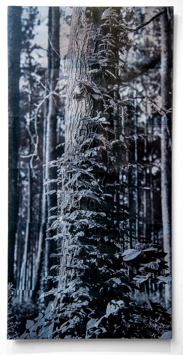 48x24 collage on wood panel 3/6