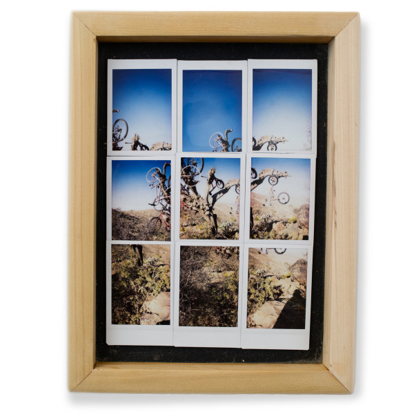 The Bicycle Tree on Hancock Hill - Brewster County, Texas by Will Jacks