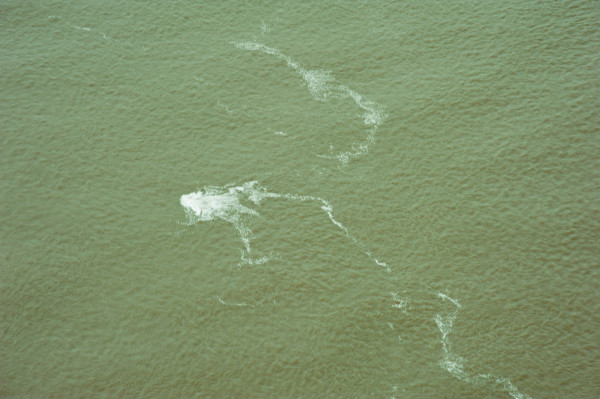 Delta Aerial XVIII by Will Jacks