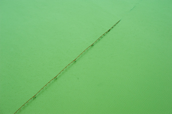 Delta Aerial XIV by Will Jacks