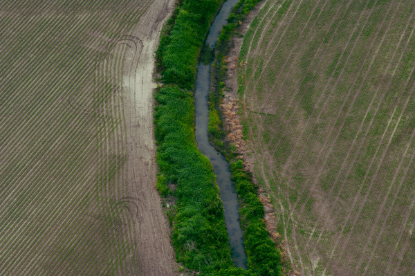 Delta Aerial XII by Will Jacks