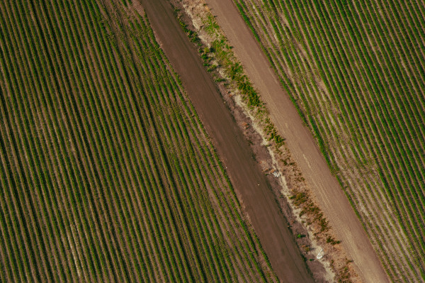 Delta Aerial XI by Will Jacks