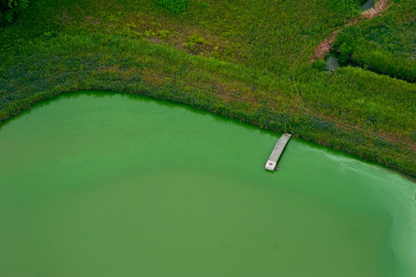 Delta Aerial IX by Will Jacks