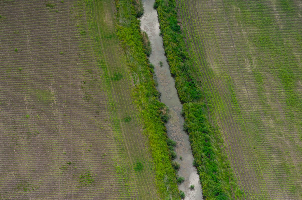 Delta Aerial XXV by Will Jacks