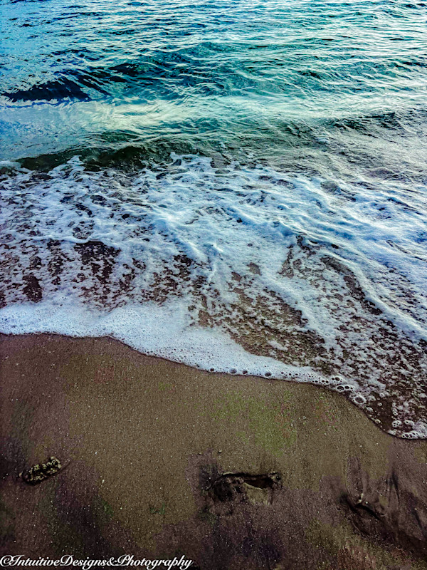 Naples, FL by Chanel Yvonne