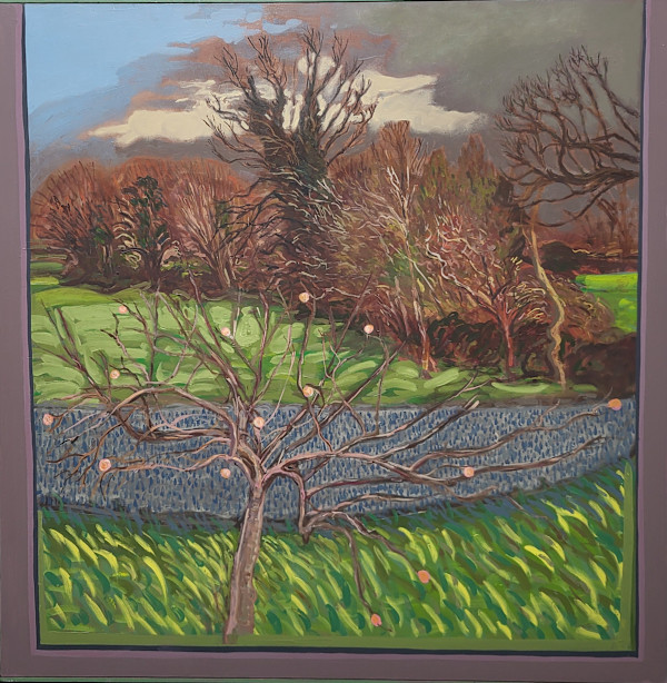 Apples in Winter by Brian Bourke