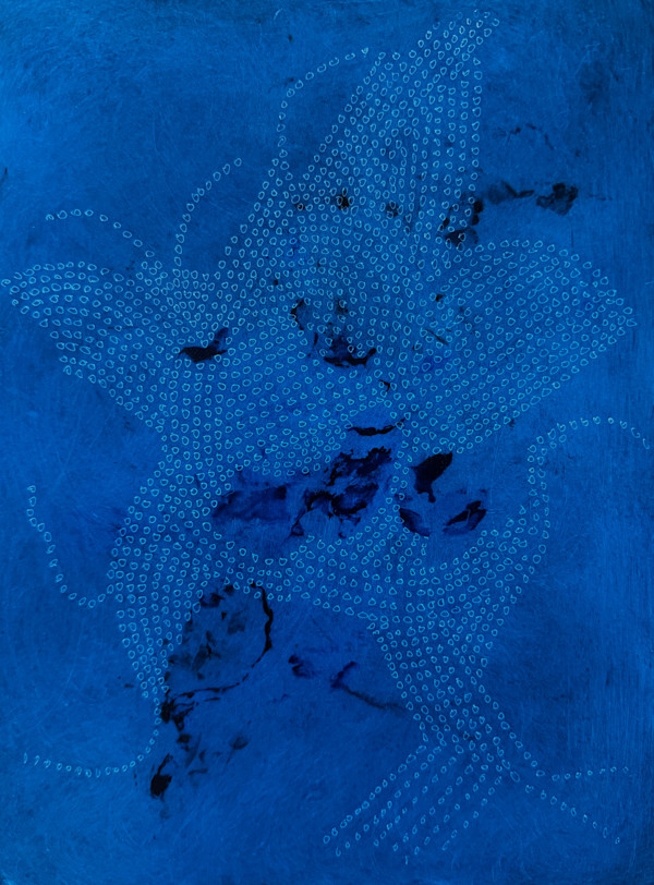 Field Note No. 001 by Jessey Jansen, Image 1.