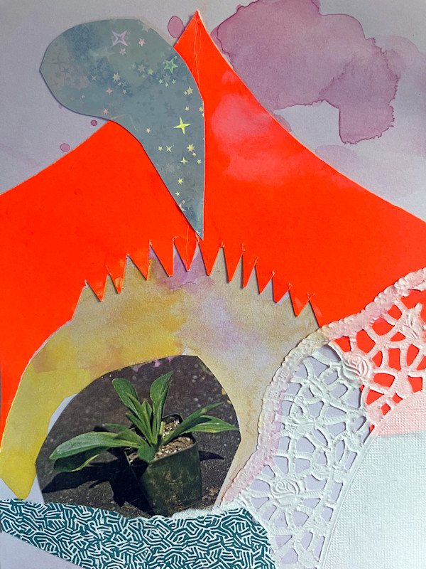 Hothouse by Hilary Greenstein