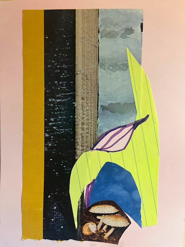 Fungi by Hilary Greenstein