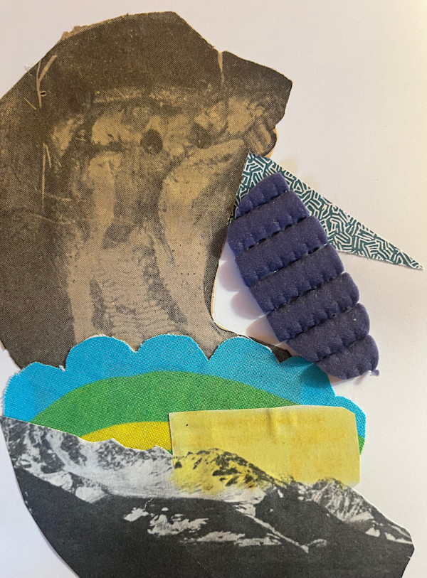 Open by Hilary Greenstein