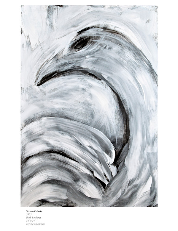 BIRD LOOKING by Steven Oshatz