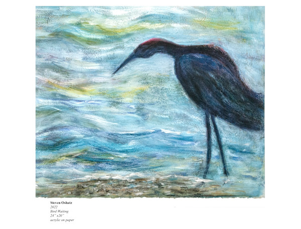 BIRD WAITING by Steven Oshatz