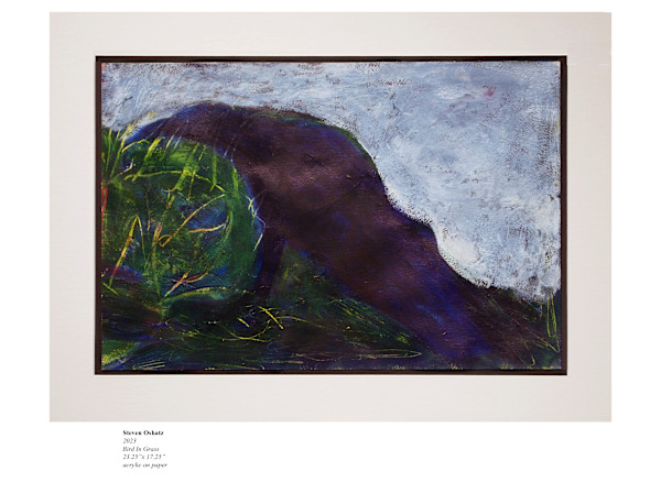 BIRD IN GRASS by Steven Oshatz