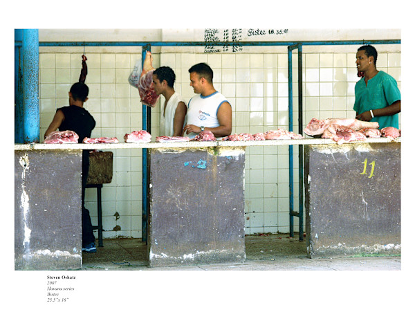 BISTEC by Steven Oshatz