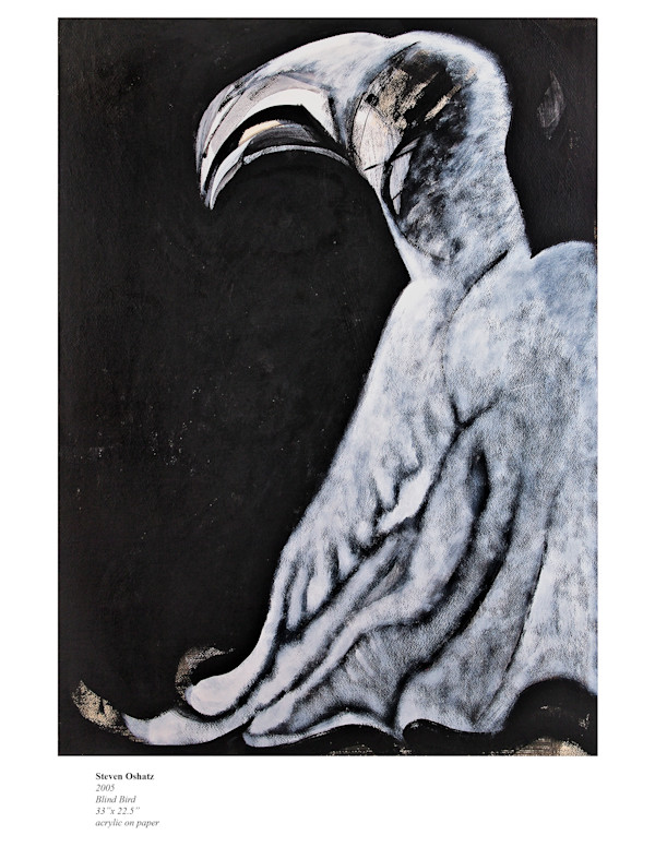 BLIND BIRD by Steven Oshatz