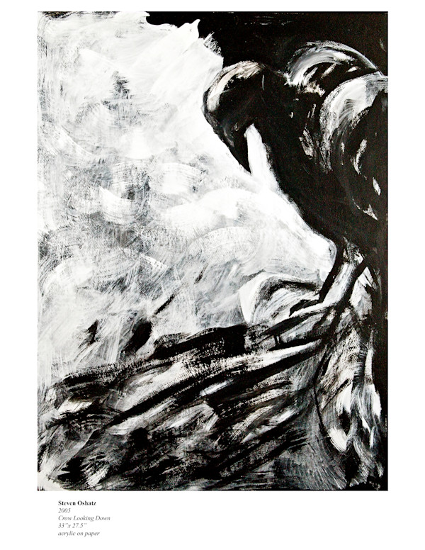 CROW LOOKING DOWN by Steven Oshatz