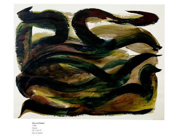 DUCKS by Steven Oshatz