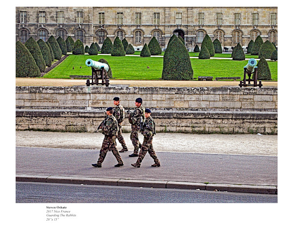 GUARDING THE RABBITS by Steven Oshatz