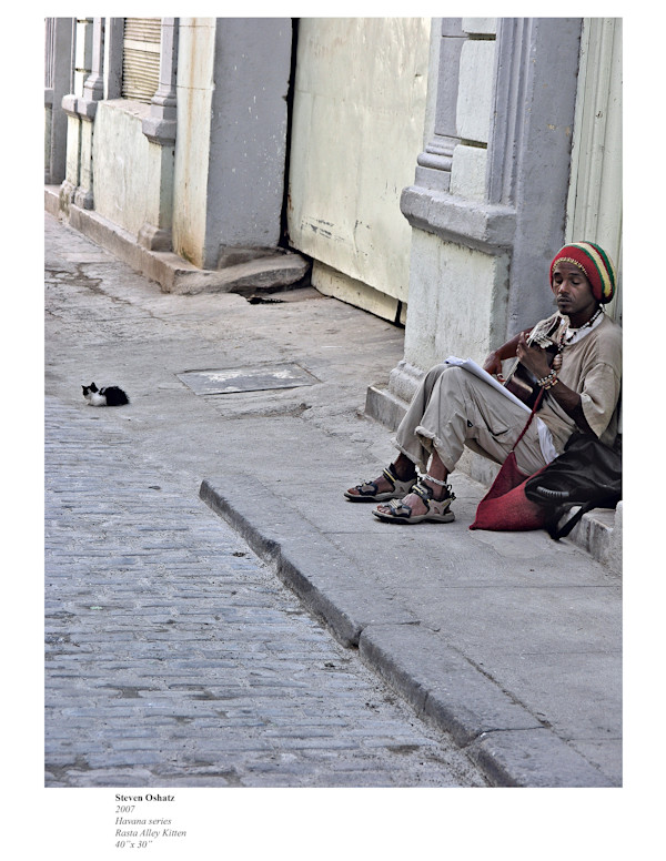 RASTA ALLEY KITTEN by Steven Oshatz