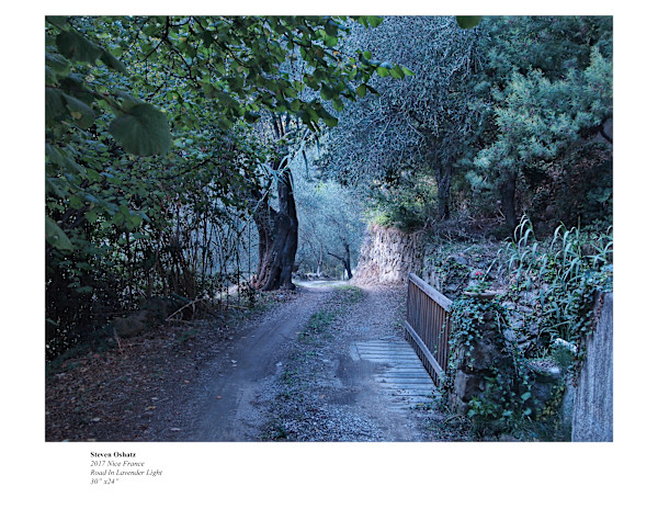 ROAD IN LAVENDER LIGHT by Steven Oshatz