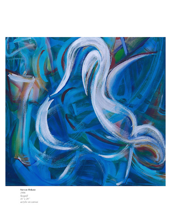 SEAGULL by Steven Oshatz