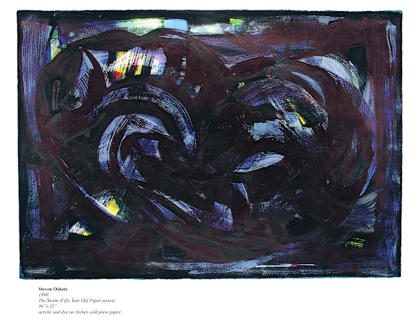 THE STORM by Steven Oshatz
