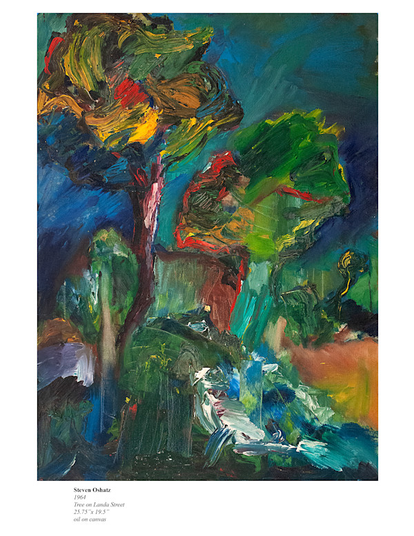 TREE ON LANDA STREET by Steven Oshatz