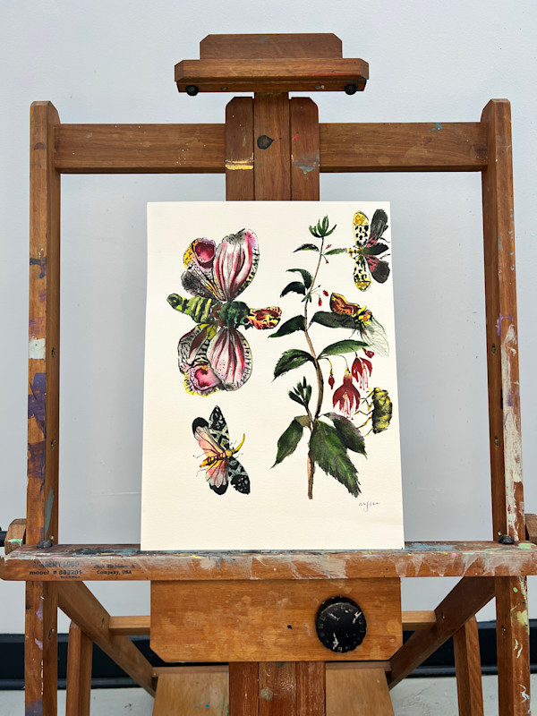 Lantern Fly by Mary Mastren-Williams