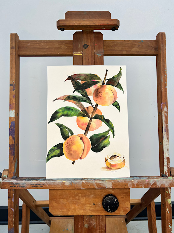White Peaches by Mary Mastren-Williams