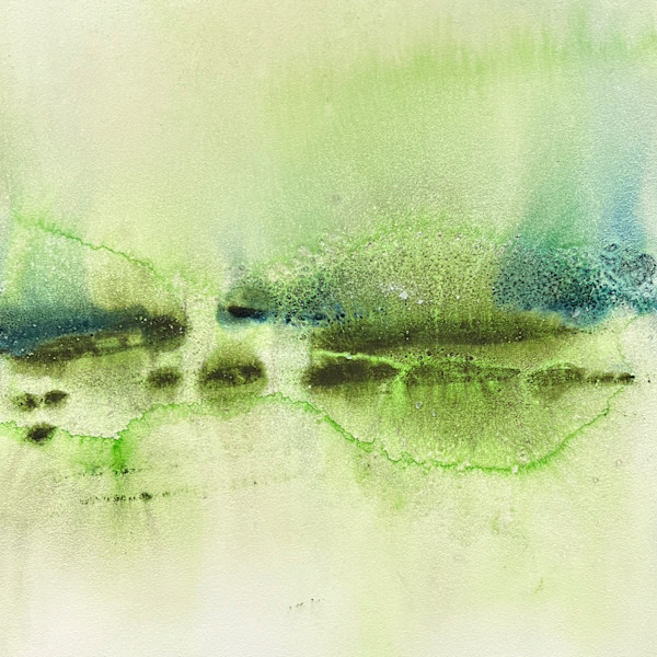 Hidden Among Grass by Mary Mastren-Williams