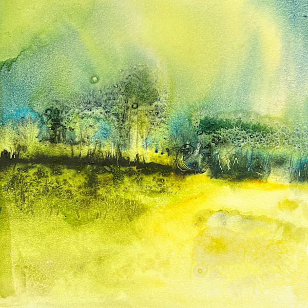 Mossy Forest by Mary Mastren-Williams