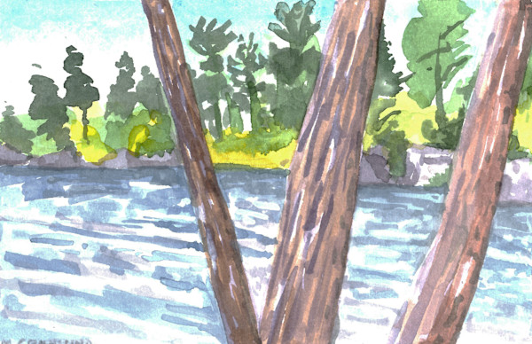 Three Trunks by Mark Granlund
