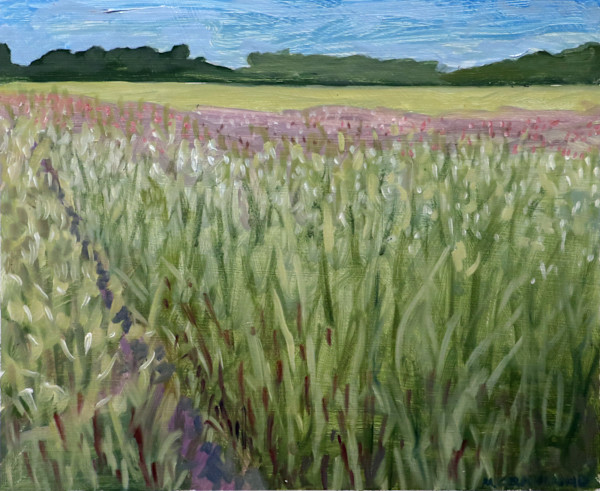 St. Croix Savannah Scientific and Natural Area - Prairie by Mark Granlund
