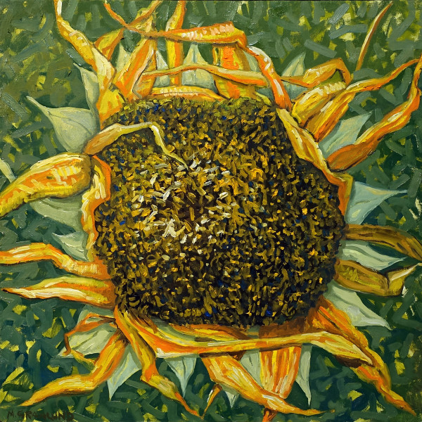 Sunflower by Mark Granlund