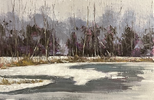 Wintery Marsh Between The Two Center Parks by Scott Nost