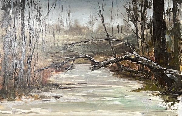 Winter Haze Along The Spring Lake Trail by Scott Nost