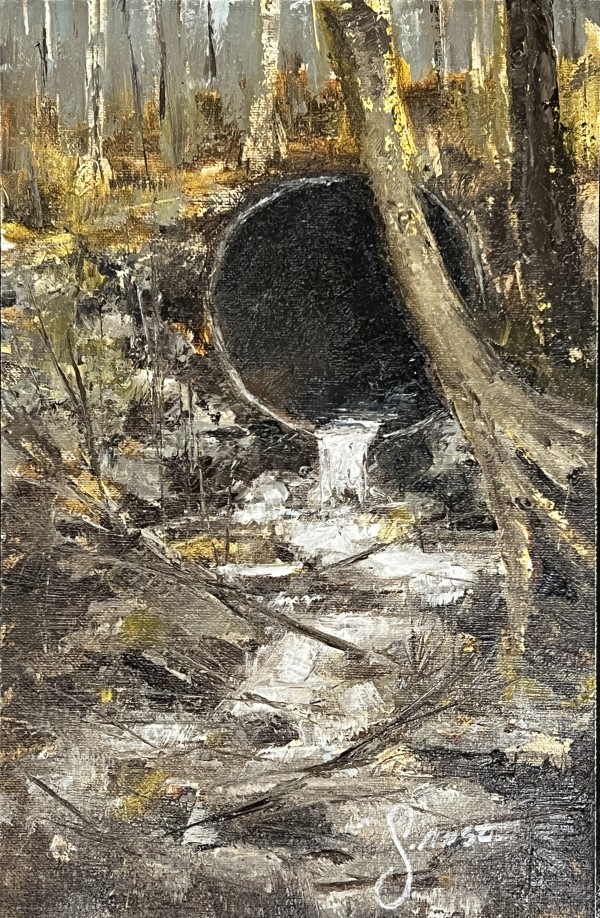 Spring Runoff At Powder Mills' Mushroom House by Scott Nost