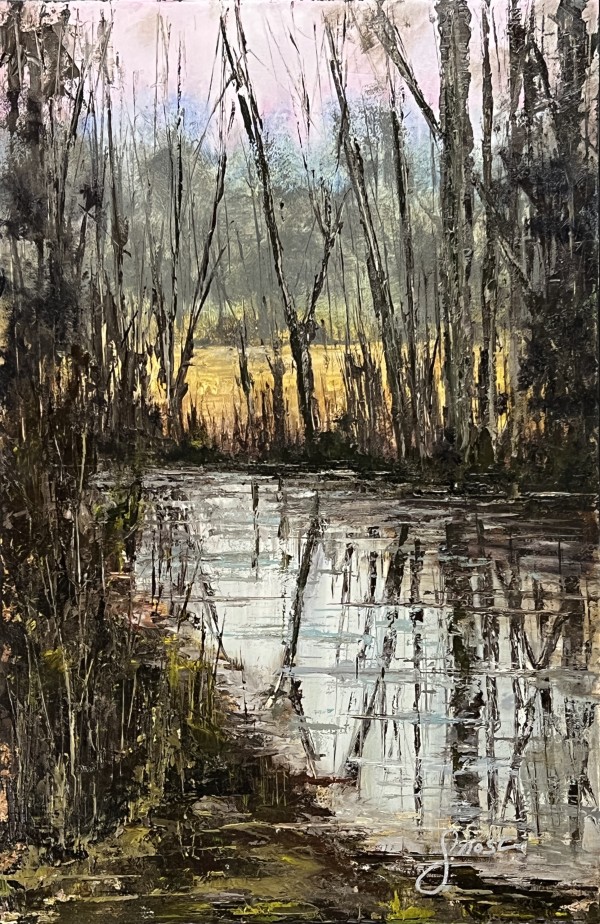 Winter Storm Runoff Blocking The Wetland Walk by Scott Nost
