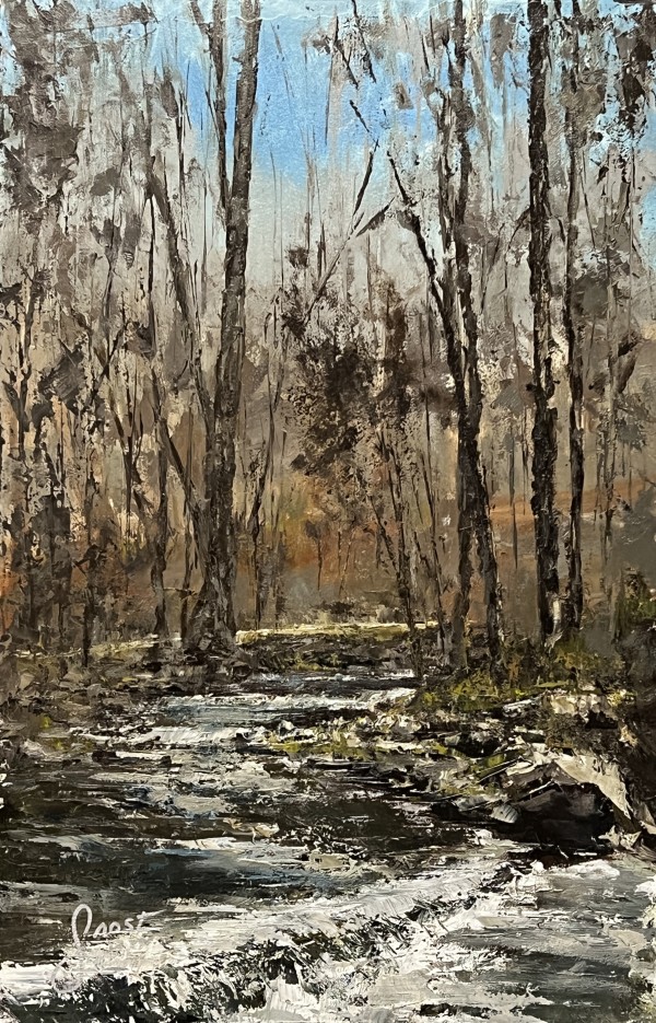 Upstream To Spring Lake Park by Scott Nost