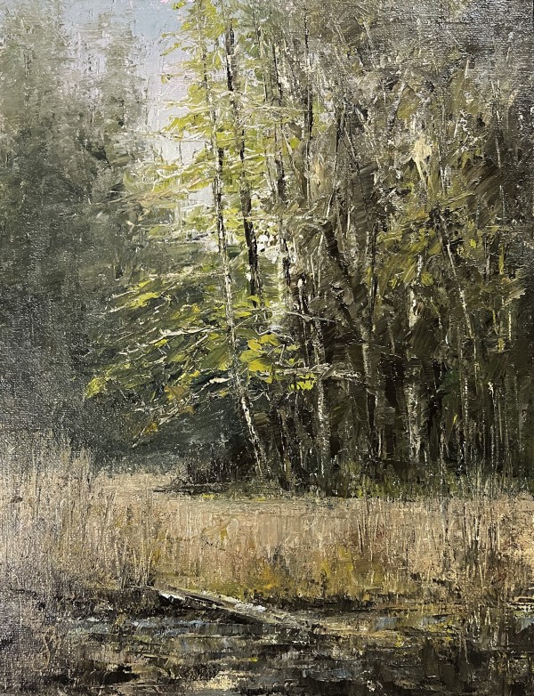 Lost In Powder Mills Park. Again. by Scott Nost