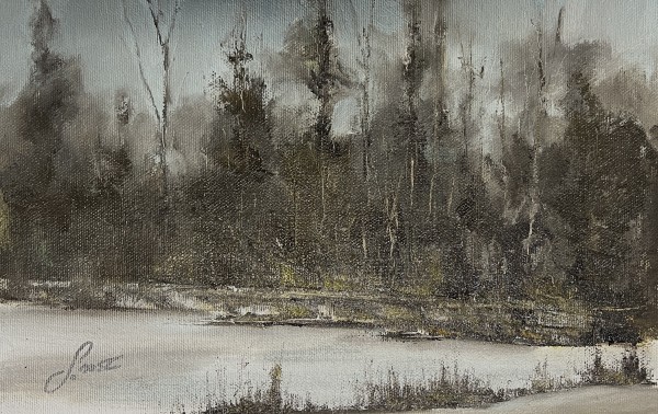 Flurries  At The Bluebird Haven by Scott Nost