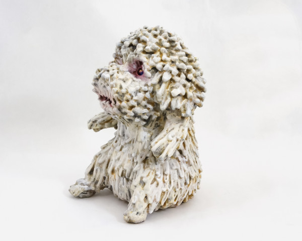 Daisy the Poodle by ocasiocasa