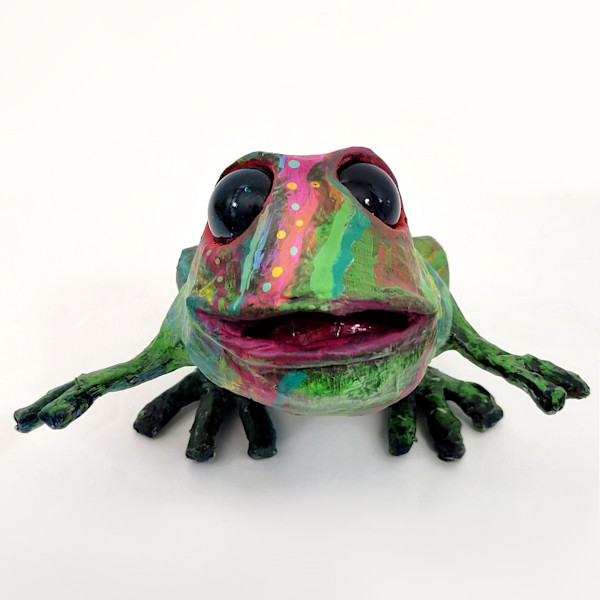 Kokee the Frog by ocasiocasa, Image 2.