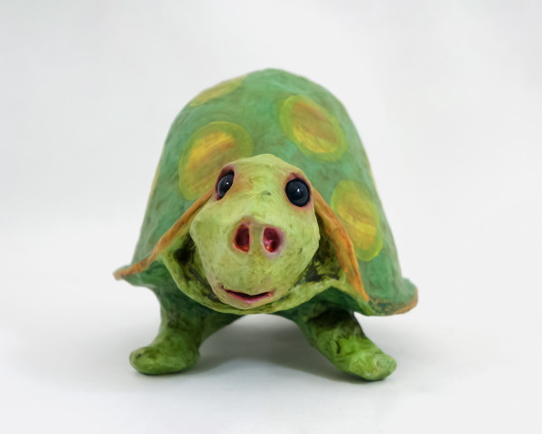 Tess the Turtle by ocasiocasa