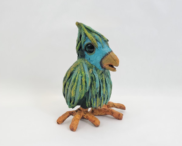 Kiwi the Bird by ocasiocasa